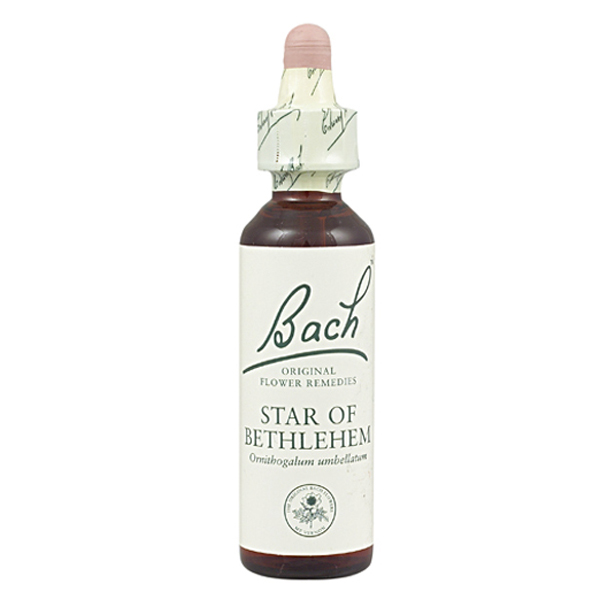 BACH 29-Star of Bethlehem (Estrella de Beln)(20 ml.)